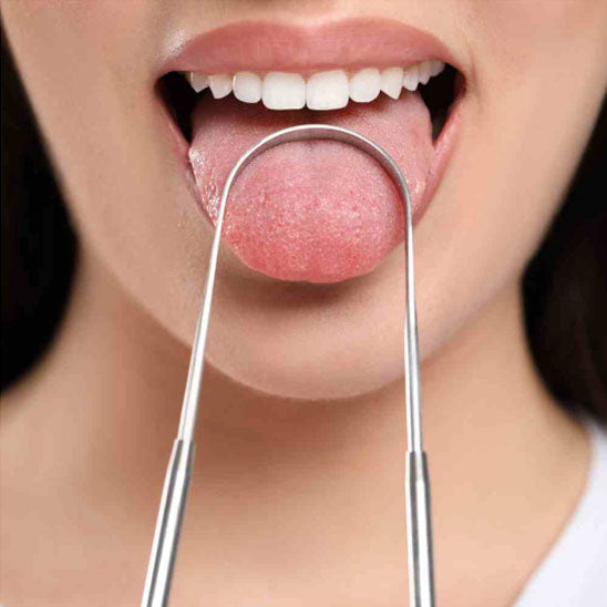 Gratte Langues en Acier Inoxydable
