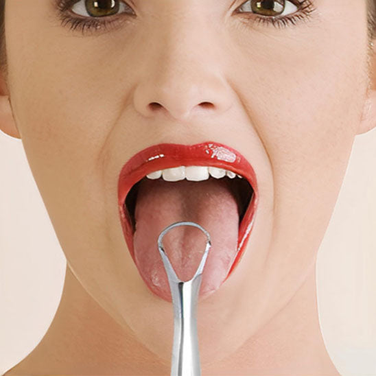 Gratte Langues en Acier Inoxydable