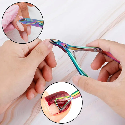 Coupe Cuticules