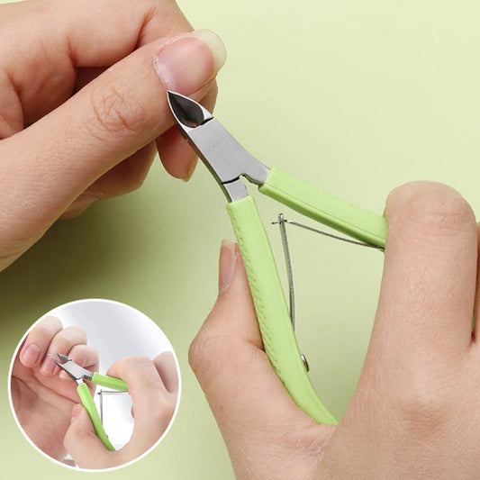 Coupe Cuticule