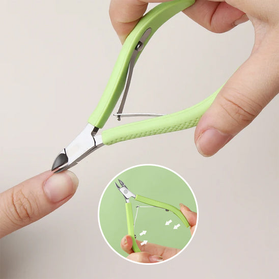 Coupe Cuticule