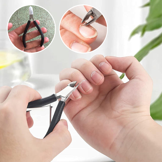 Coupe Cuticule